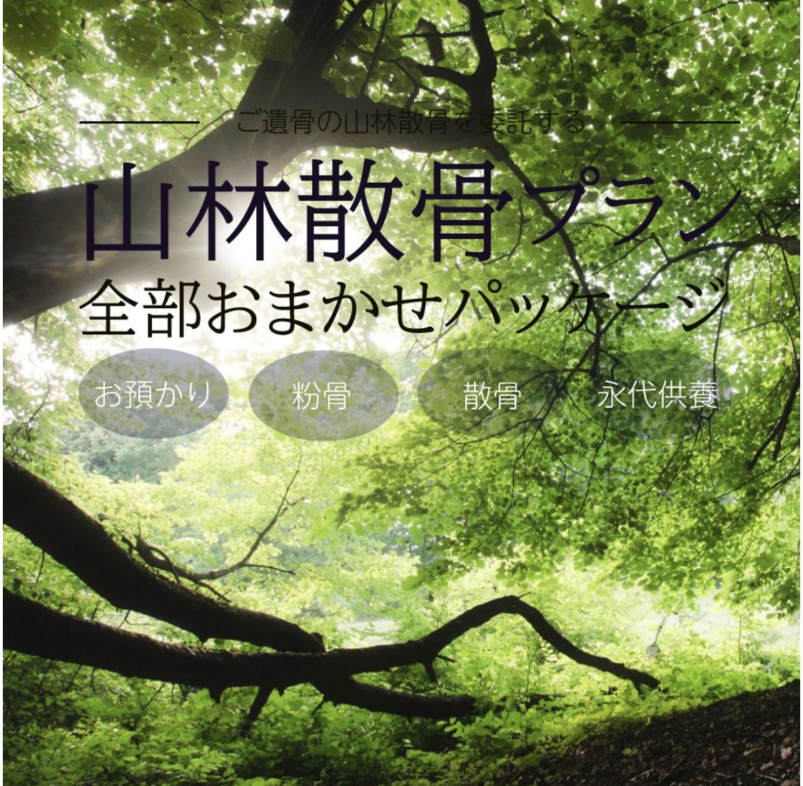 山林散骨の外観